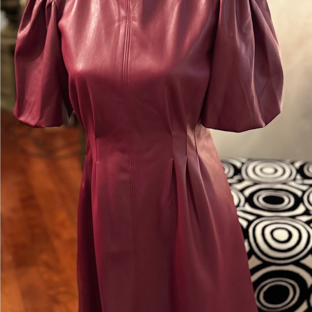 Dynamite Burgundy Faux Leather Puff Sleeve Dress